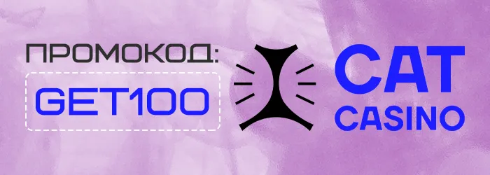 Спины за регистрацию в Cat